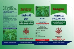 514402721_24433560779570469_3483280861150474486_n